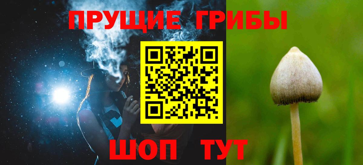 Псилоцибиновые грибы Cubensis  Псилоцибиновые грибы MAGIC MUSHROOMS  Вход с VPN  Сергиев Посад 